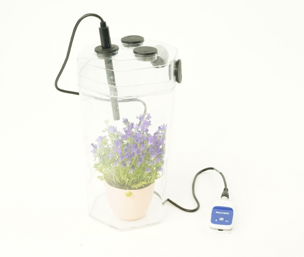 Fotosinteza și respirația celulară la plante cu Cobra SMARTsense P4110669